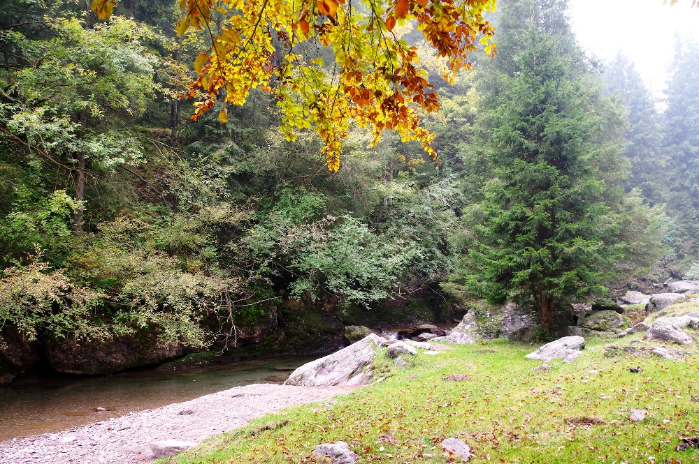 3 - Autunno in Val Sanguigno