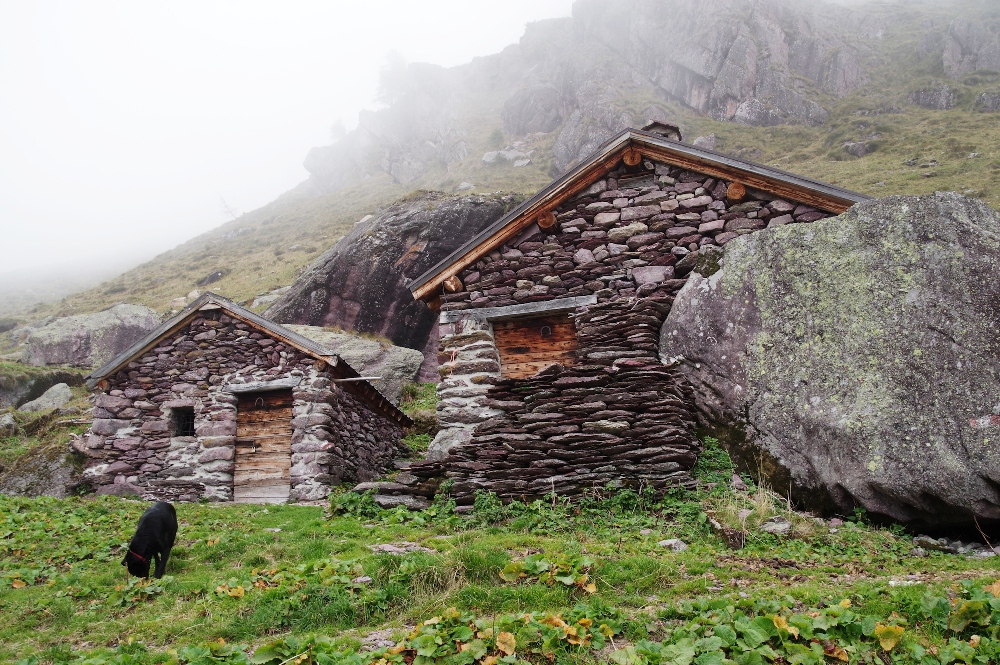 4 - Autunno - Baita Salina