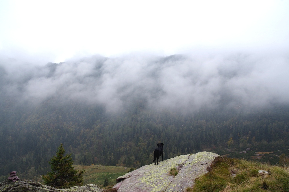 5 - Autunno e panorami