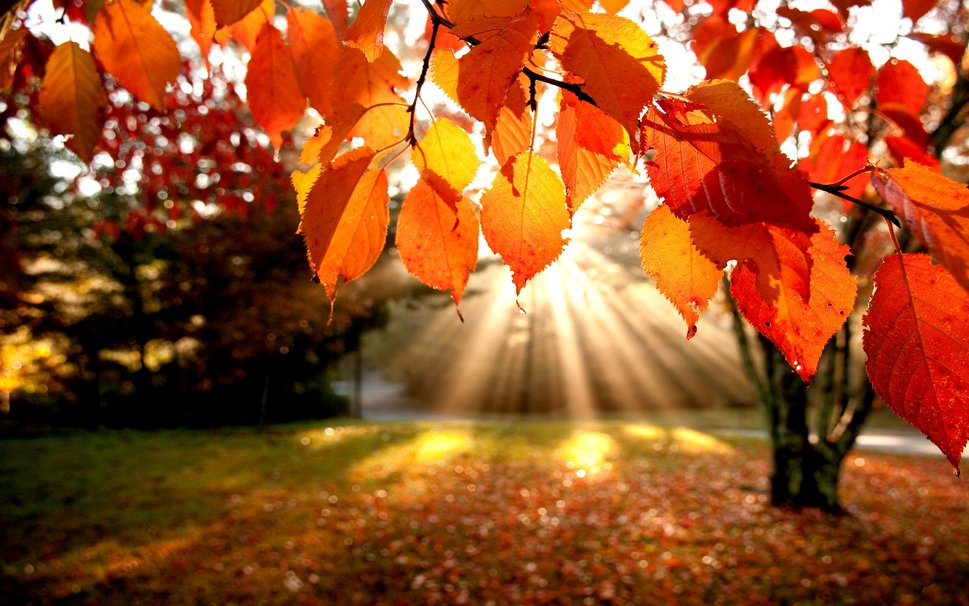 Dieci tipiche frasi dei bergamaschi su questo strano e caldo ottobre