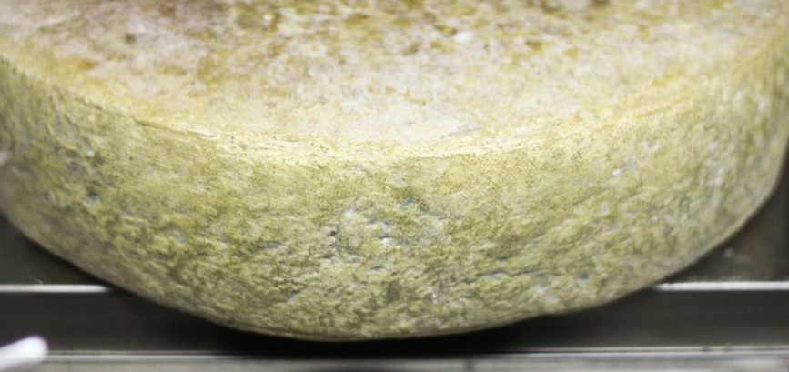 Il Fondìs, formaggio di latte di capra. Nuova creazione della Via Lattea