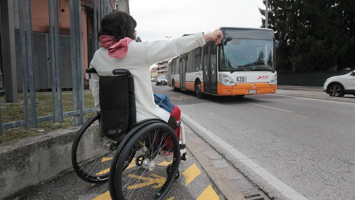 Disabile umiliata e offesa sul bus Il controllore: «Nessun sopruso»