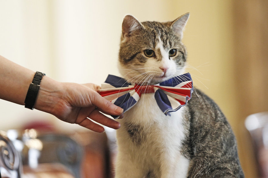 Inchinatevi a sua eccellenza Larry Catturatore di topi a Downing Street