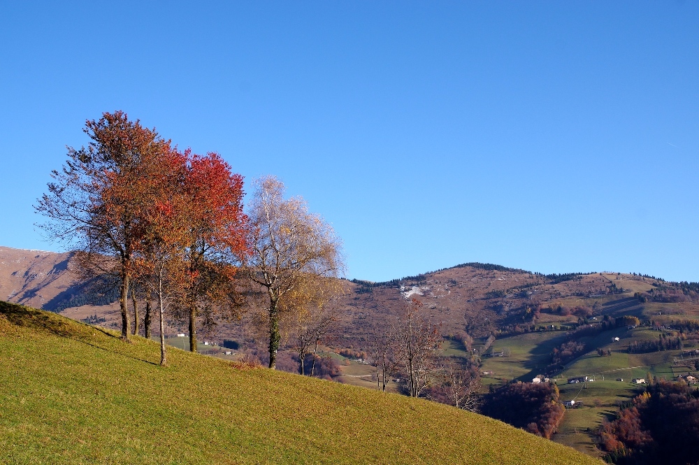 3 - Autunno