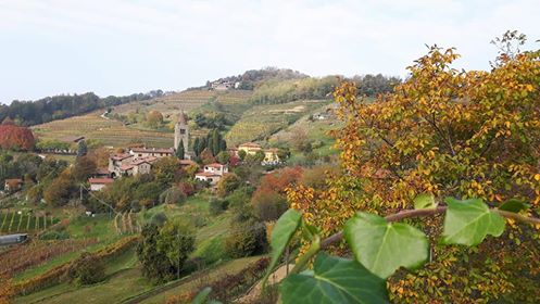 Fontanella di Sotto il Monte – Brunella Brivio