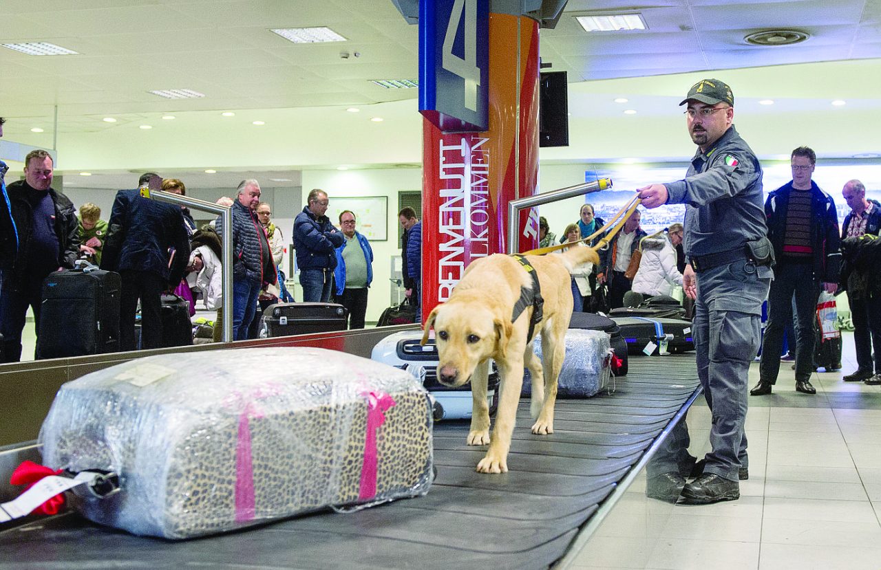Aveva fatto arrivare droga dagli Stati Uniti all’aeroporto di Orio: arrestato 24enne di Cesano Boscone