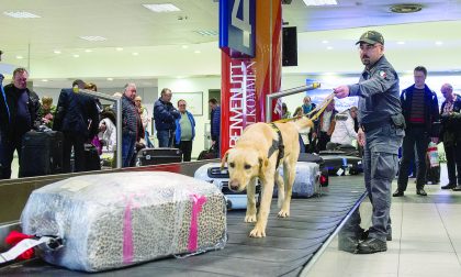Aveva fatto arrivare droga dagli Stati Uniti all’aeroporto di Orio: arrestato 24enne di Cesano Boscone