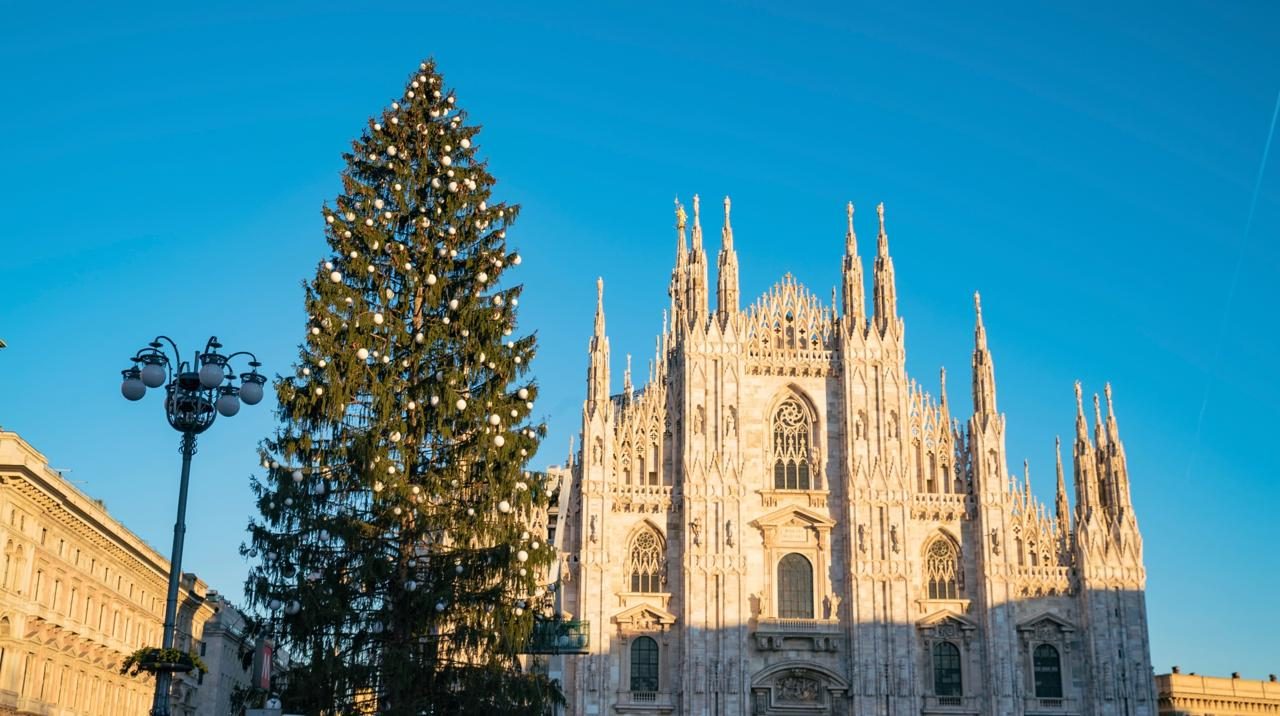 Cinque notizie che non lo erano L’albero di Milano non è costato…