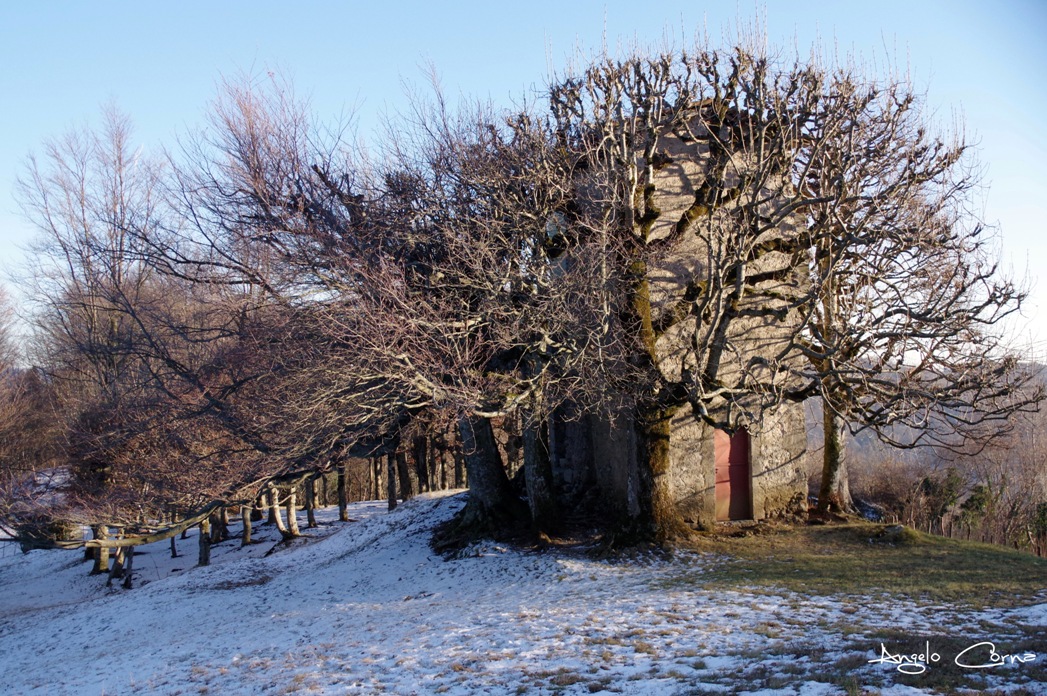 Alle pendici del Pizzo Cerro – Angelo Corna