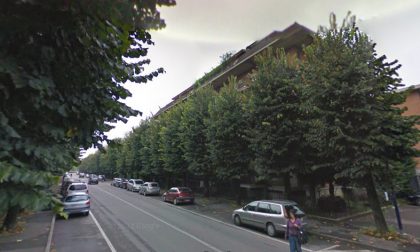Nuovo bosco con settemila piante Così Romano diventa città verde