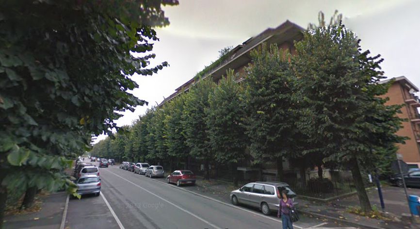 Nuovo bosco con settemila piante Così Romano diventa città verde