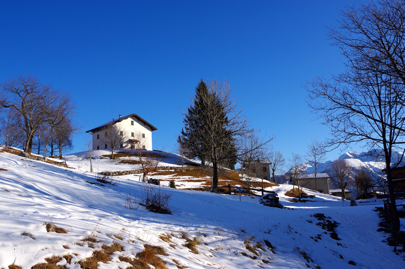 1 - I prati dell'Alpe Cova