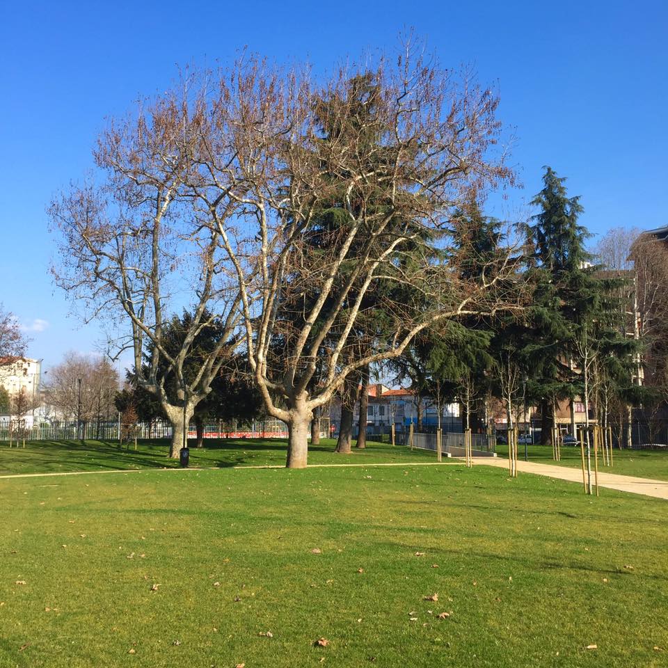 Bergamo, il Comune punta sul verde Cinque milioni per parchi e dintorni