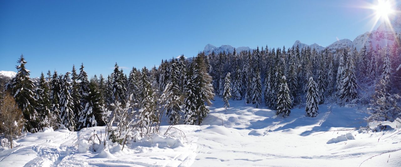 Voglia di Orobie con la neve? Ecco un percorso incantato