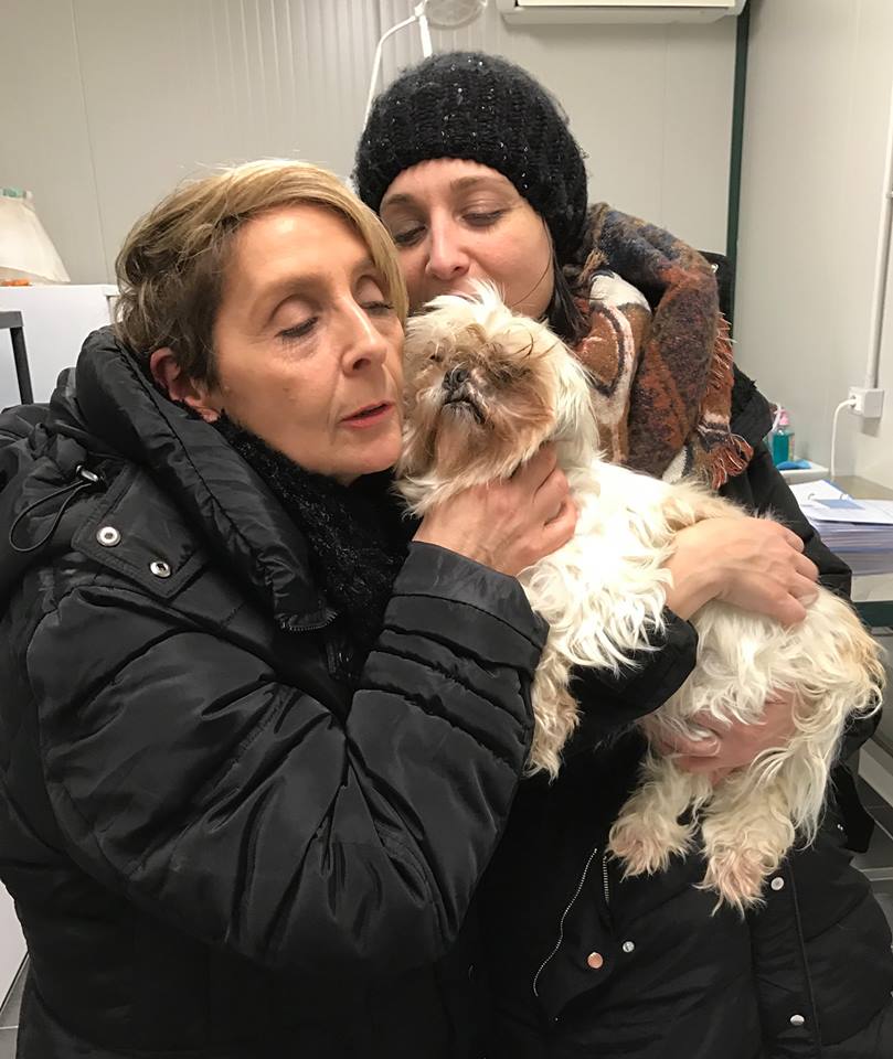 La cagnolina gettata dal finestrino ha trovato casa (e un nuovo nome)