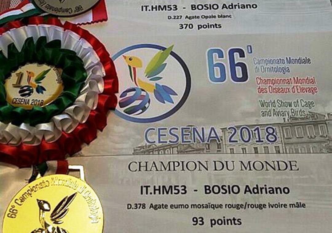 I canarini di Peia sul tetto del mondo Tutto merito di Adriano Bosio