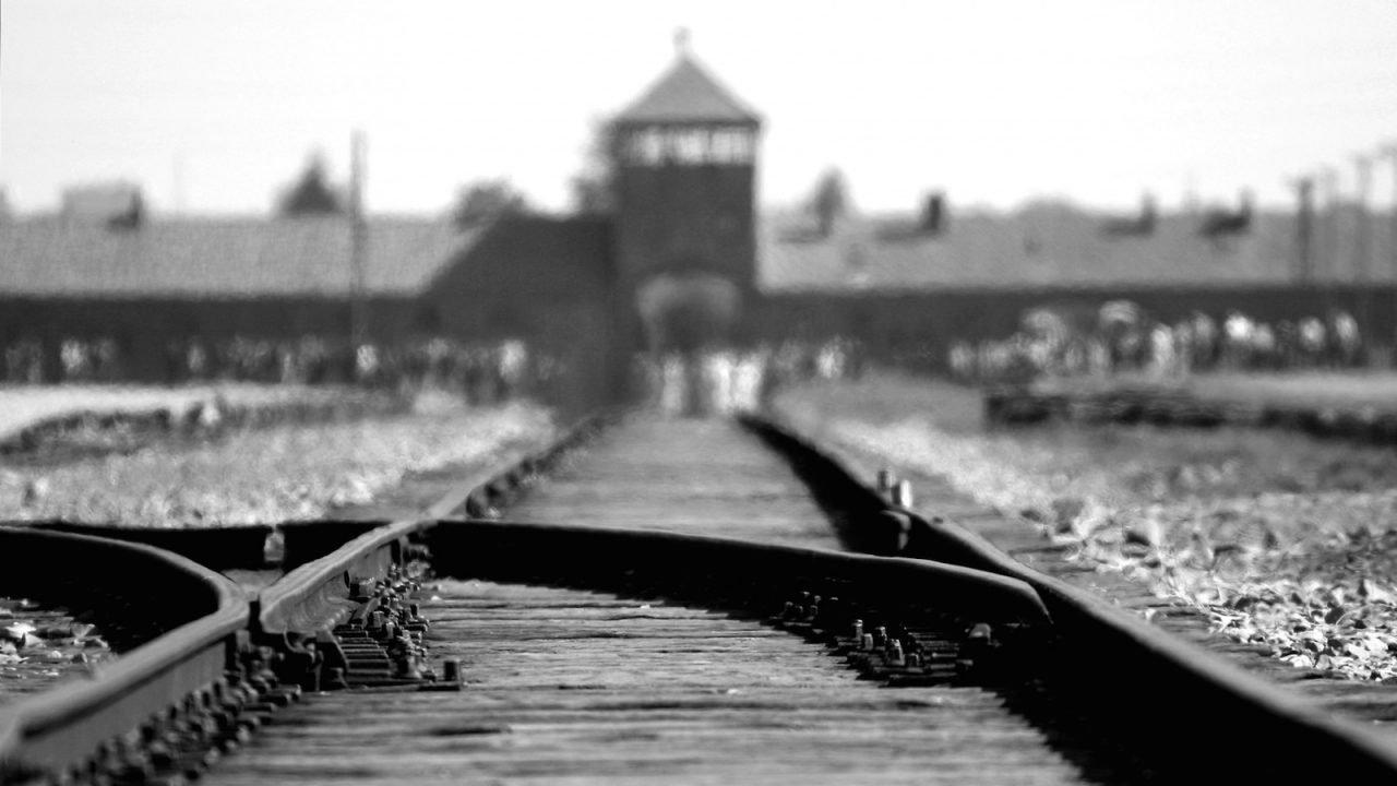 Il 27 gennaio, quando il mondo scoprì gli orrori di Auschwitz
