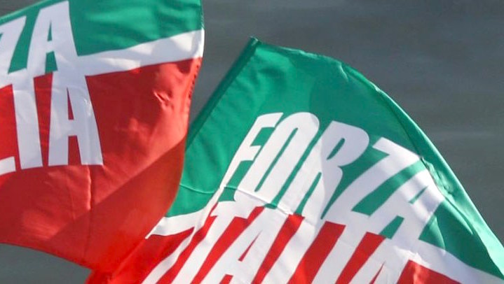 Forza Italia verso le elezioni Chi sono i bergamaschi in gioco