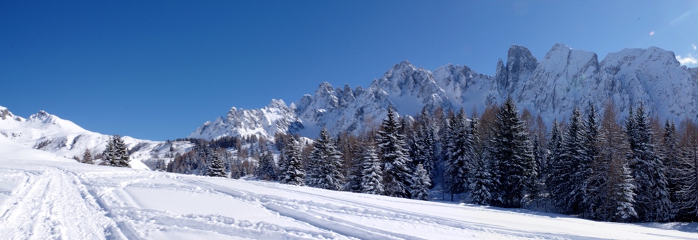 Ciaspolata al Cimon della Bagozza Da restare a bocca aperta