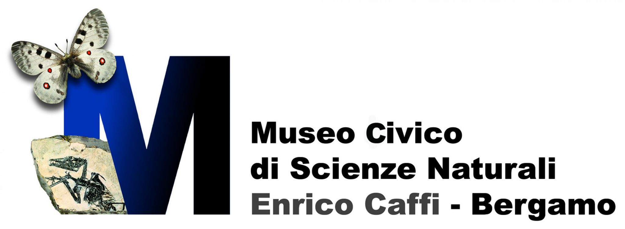 logo_museo2000