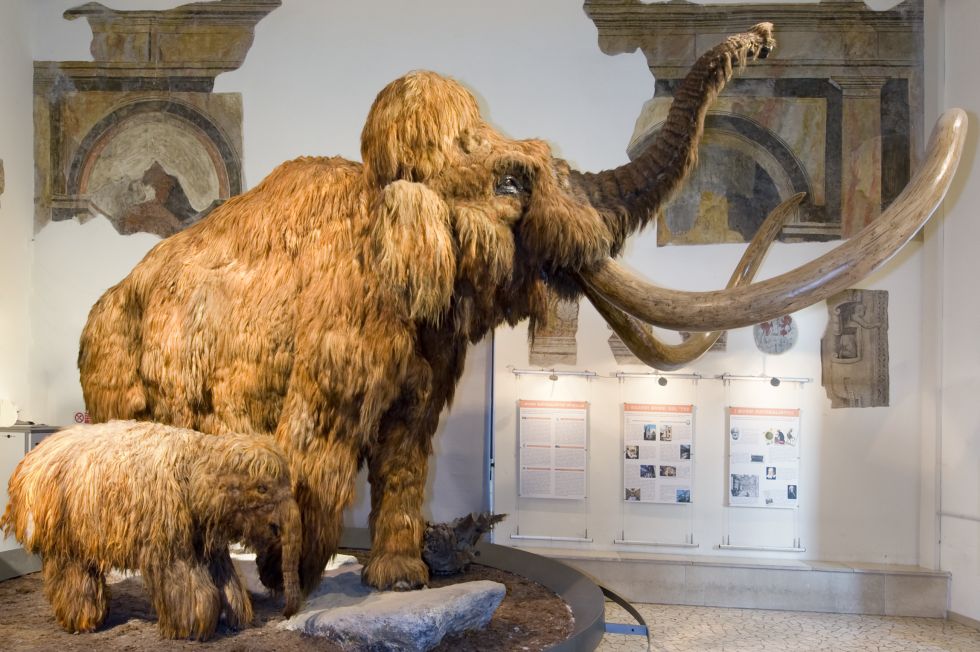 I mostri custoditi nella Bergamasca