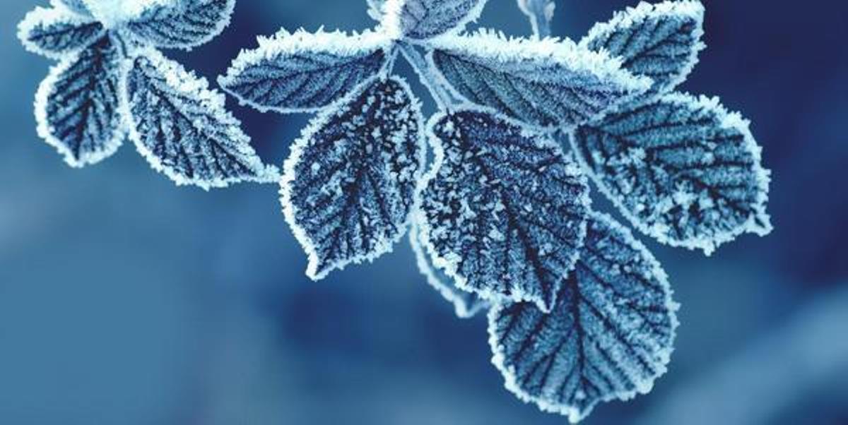 Dieci frasi dei bergamaschi sul grande gelo di questi giorni