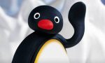 Pingu è uscito dalla televisione e insegna l’inglese a Bergamo