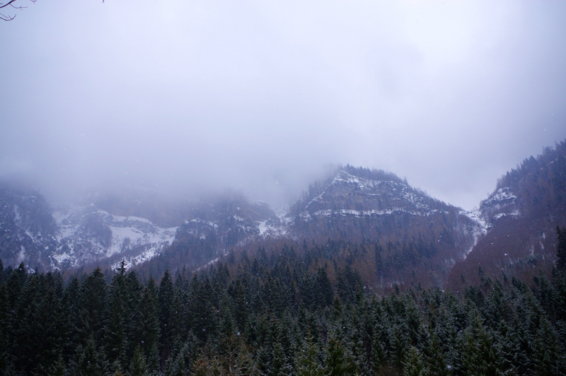 2 - Sotto la neve