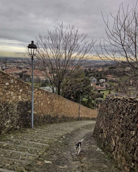 Borgo Canale – Davide Carminati