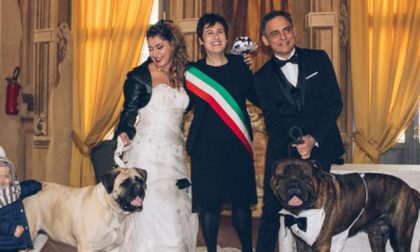 A Brignano i cani portano le fedi quando a Pontirolo fu vietato