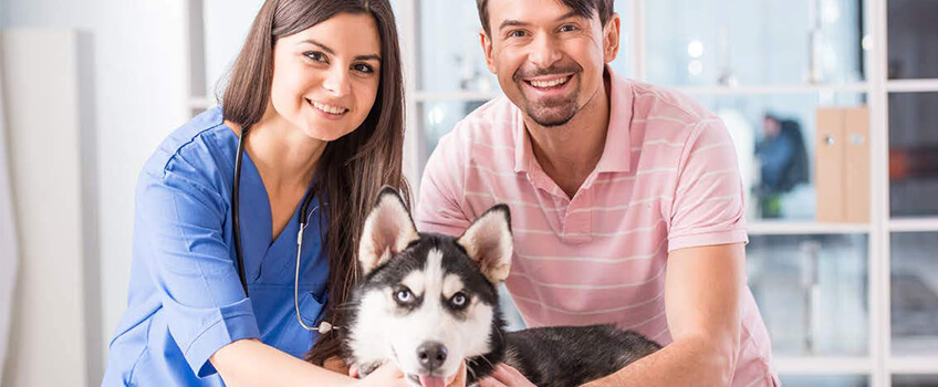 Italiani, 3 su 10 vivono con un pet