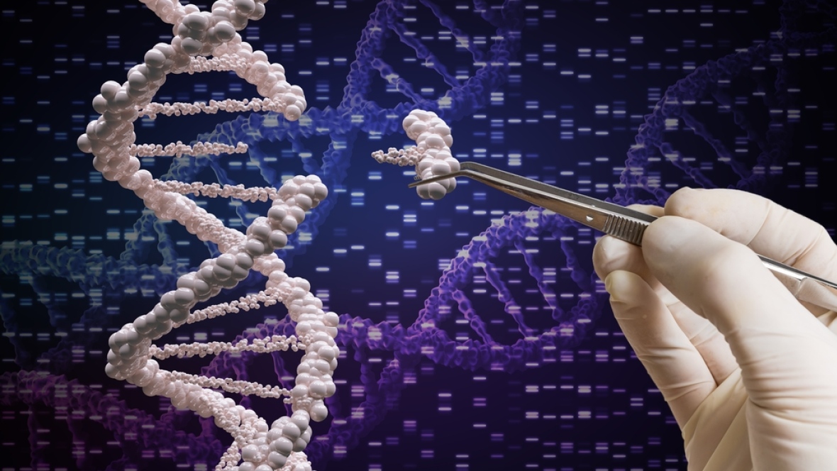 Scoperto l’enzima ad alta precisione che sa aggiustare il Dna malato