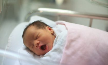 Le proposte 5stelle per la famiglia Un approccio nuovo e deciso