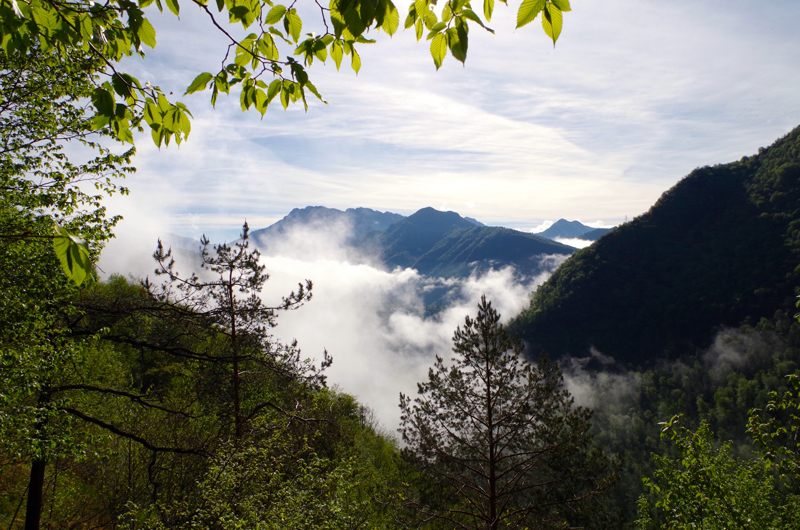 Monte Sornadello, un vero incanto