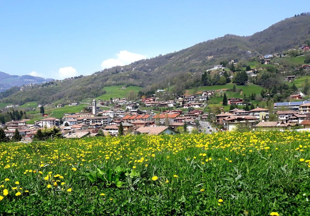 La cicoria un piatto povero? A Cazzano non la pensano così
