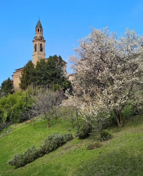 Parco dei Colli – Davide Carminati