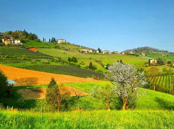 Scanzorosciate – Luca Lazzari