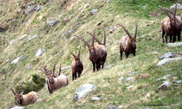 Il 25 aprile sulle nostre montagne Tutti gli eventi da non perdere