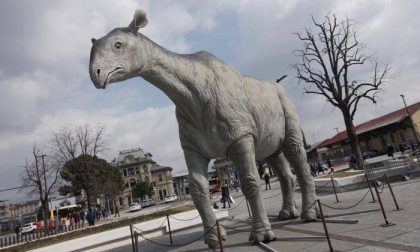 Si addormenta solo col dinosauro Ma c’è la Ztl: 5 multe alla mamma