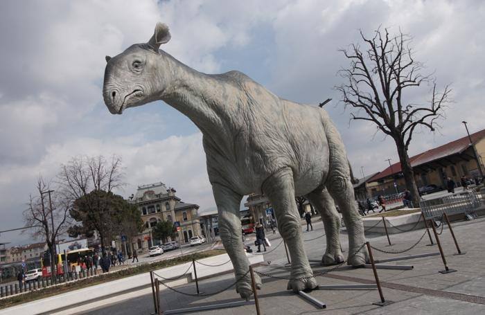 Si addormenta solo col dinosauro Ma c’è la Ztl: 5 multe alla mamma