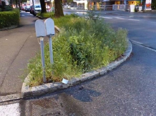 Notizie su bergamo e provincia (30 aprile-5 maggio 2018)