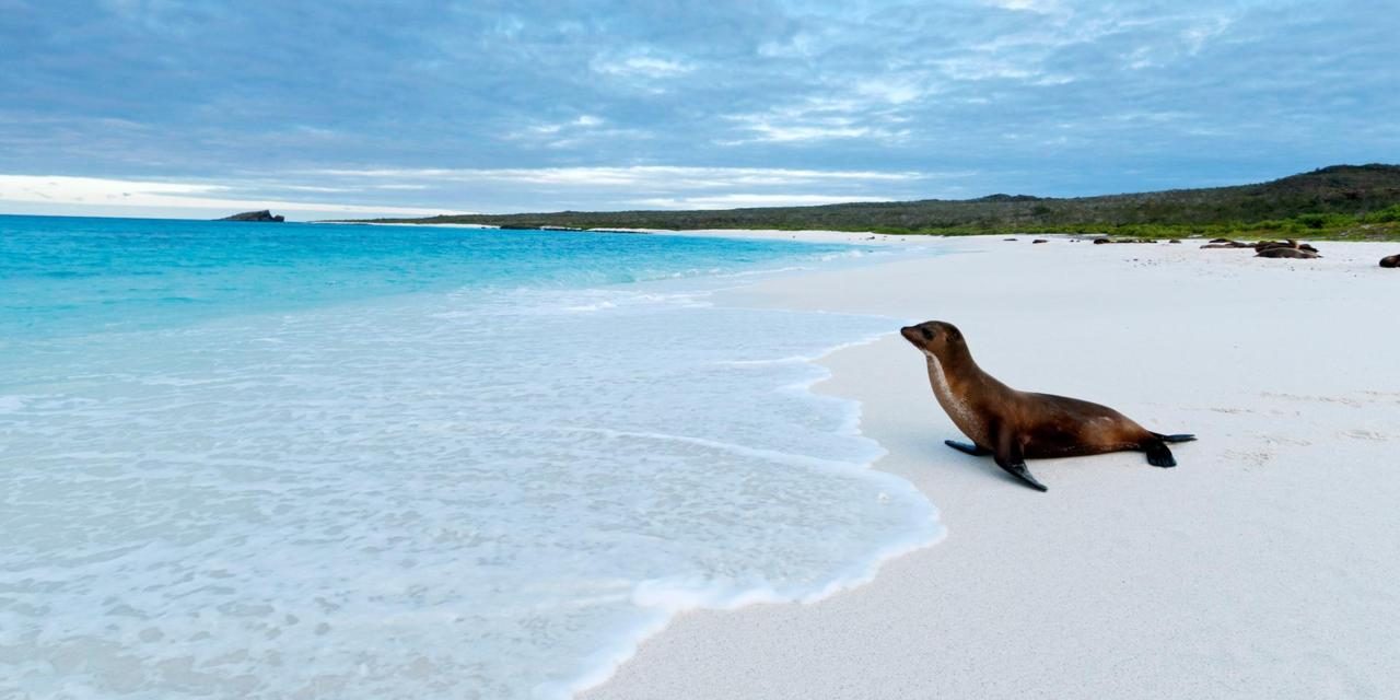 Posti fantastici e dove trovarli Le Galapagos, paradiso in terra