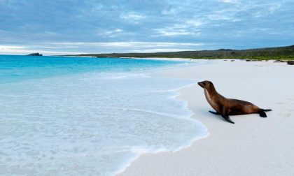 Posti fantastici e dove trovarli Le Galapagos, paradiso in terra