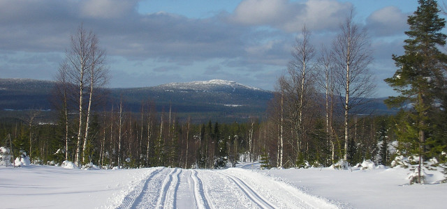 Il silenzio e il nulla della Lapponia per 420 chilometri di traversata