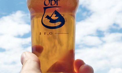 Non c'è Lazzaretto senza spine (64) Tre giorni con l'Orobie Beer Festival