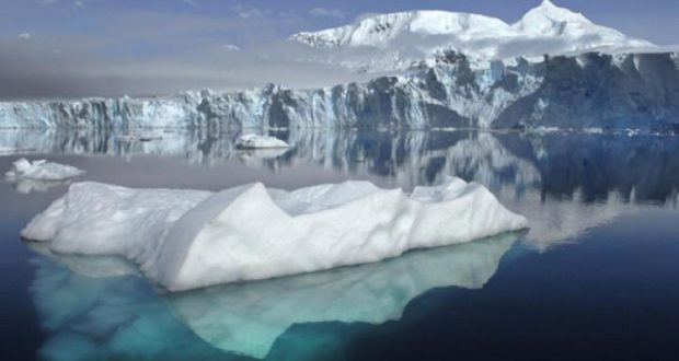 C’è un batterio dell’Antartide che può combattere il tumore