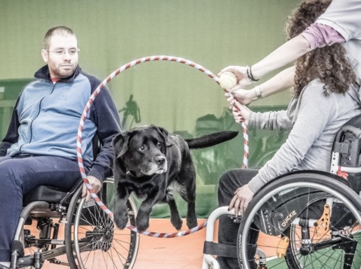 Christian e Un cane per la vita Giorno per giorno contro il cancro
