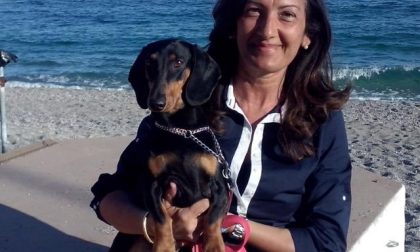 Cagnolina corre a cercare aiuto Soccorsa la padrona investita