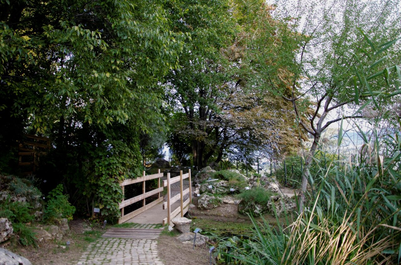 I luoghi dell’Orto Botanico