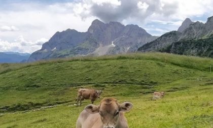 Rifugio Branchino - Cristina